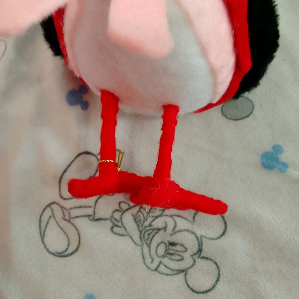 Kingsley, Target Bird. - Picture 8 of 16